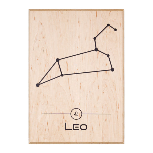 Leo Constellation