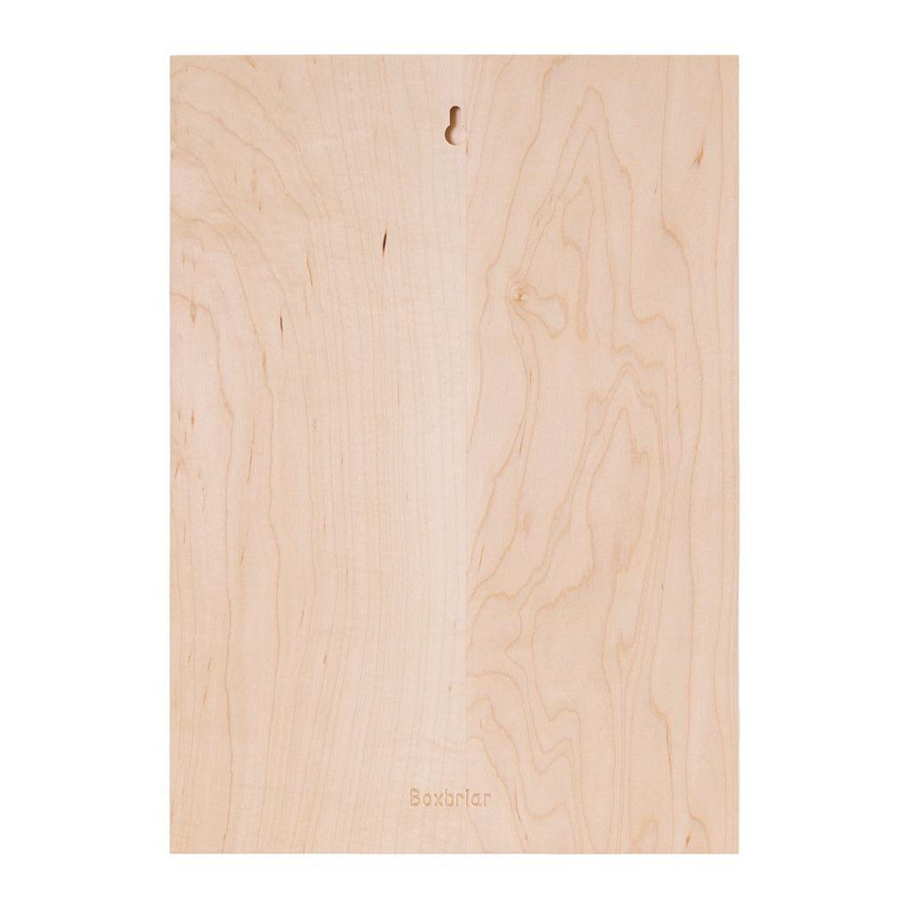 Gemini Constellation