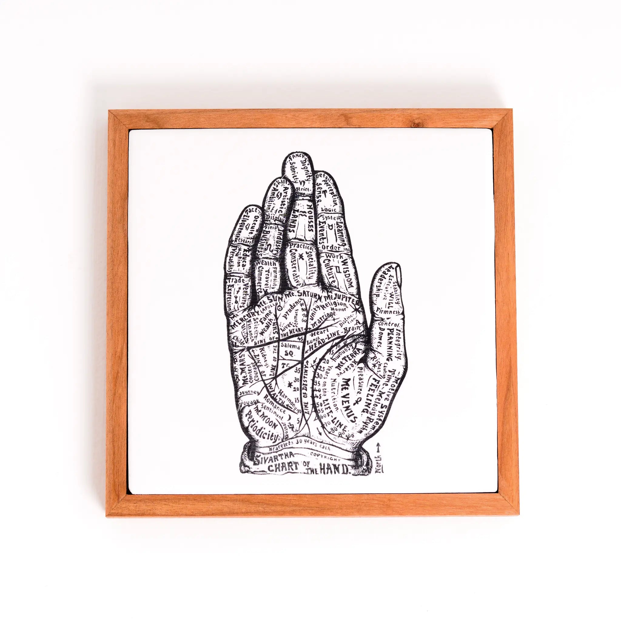 Chart of the Hand | Wood Framed Art Coaster