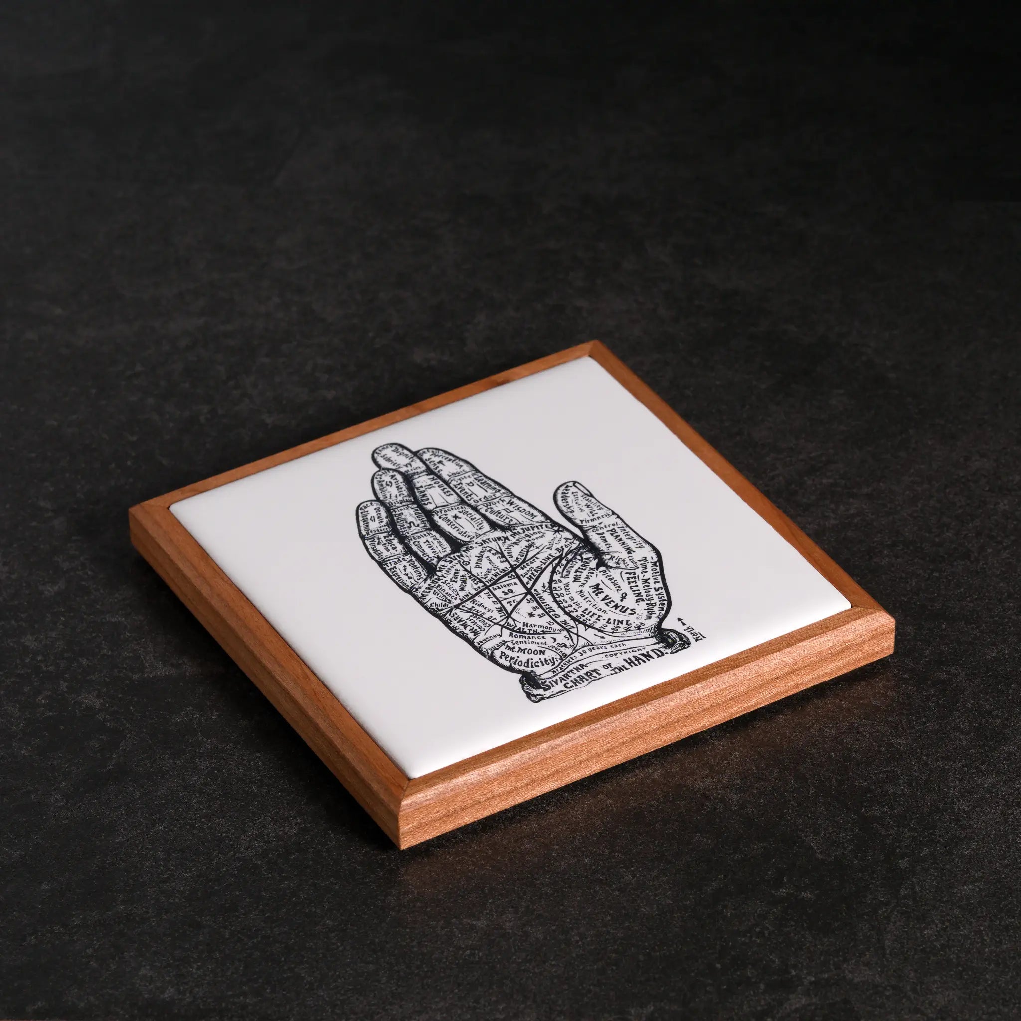 Chart of the Hand | Wood Framed Art Coaster